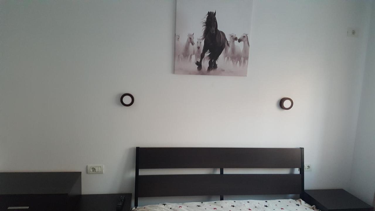 Apartament Holiday Rezidence Kazeboo Beach Năvodari Zewnętrze zdjęcie